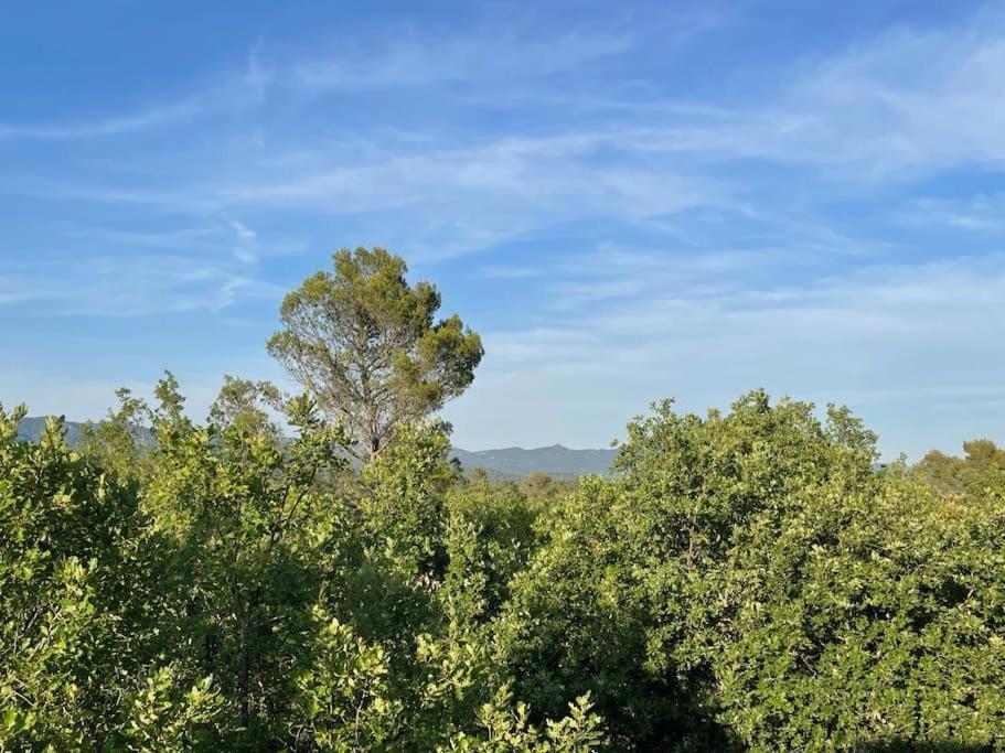 Villa Piscine - Gorges Du Verdon, Lac De Sainte-Croix Régusse Buitenkant foto