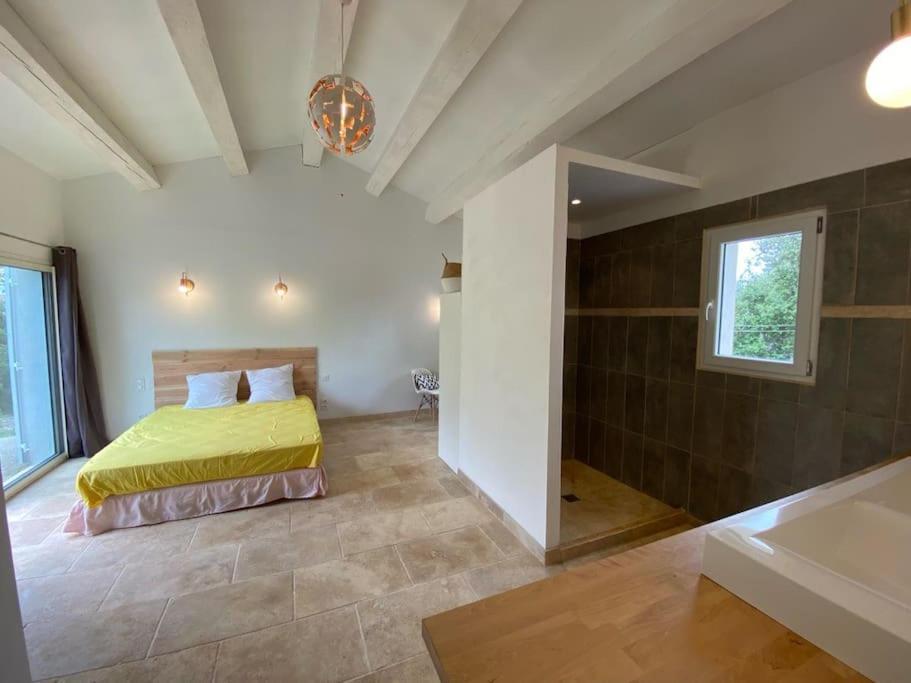 Villa Piscine - Gorges Du Verdon, Lac De Sainte-Croix Régusse Buitenkant foto