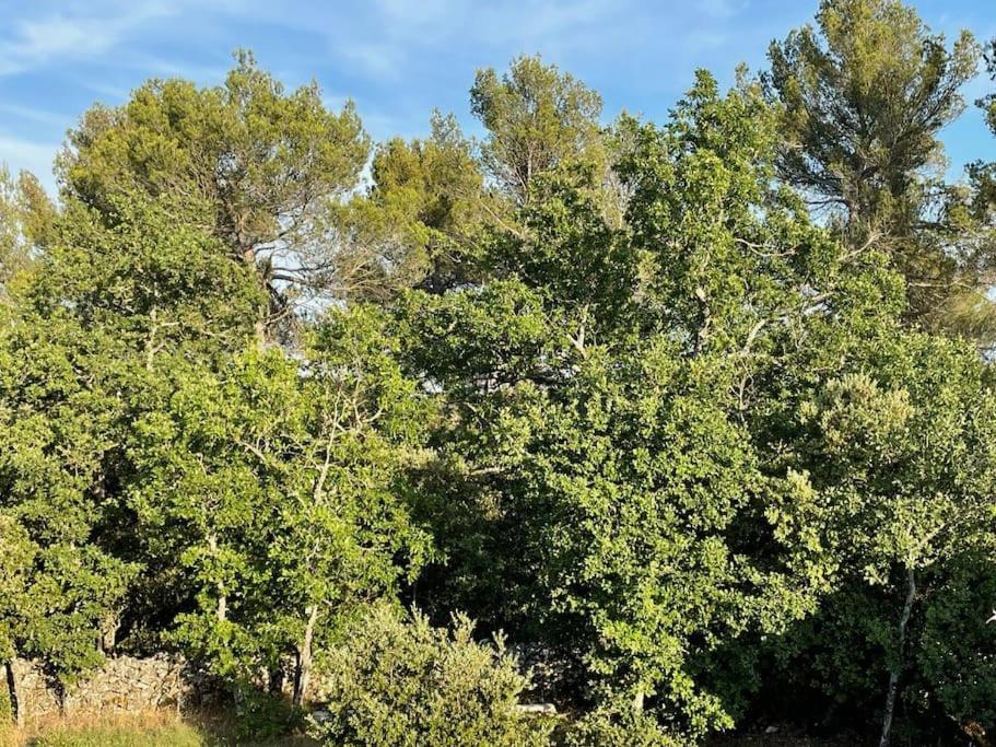 Villa Piscine - Gorges Du Verdon, Lac De Sainte-Croix Régusse Buitenkant foto